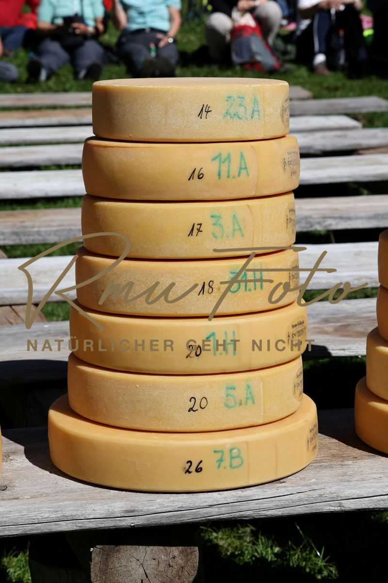 2P1A8858 Justistal Chaesteilet 25