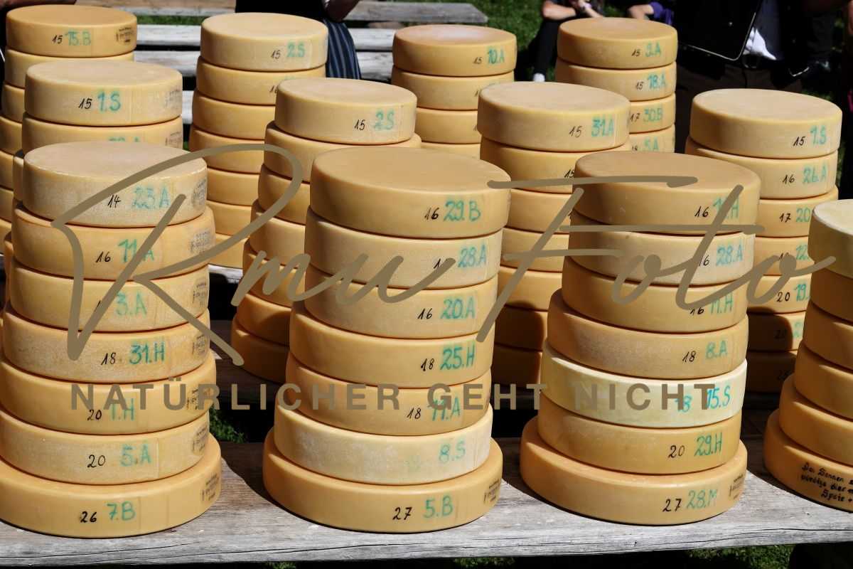 2P1A8917 Justistal Chaesteilet 25