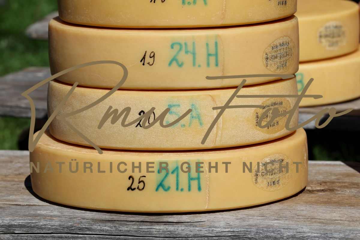 2P1A8921 Justistal Chaesteilet 25