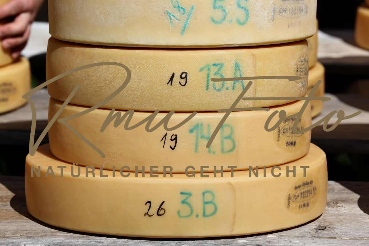 2P1A8923 Justistal Chaesteilet 25