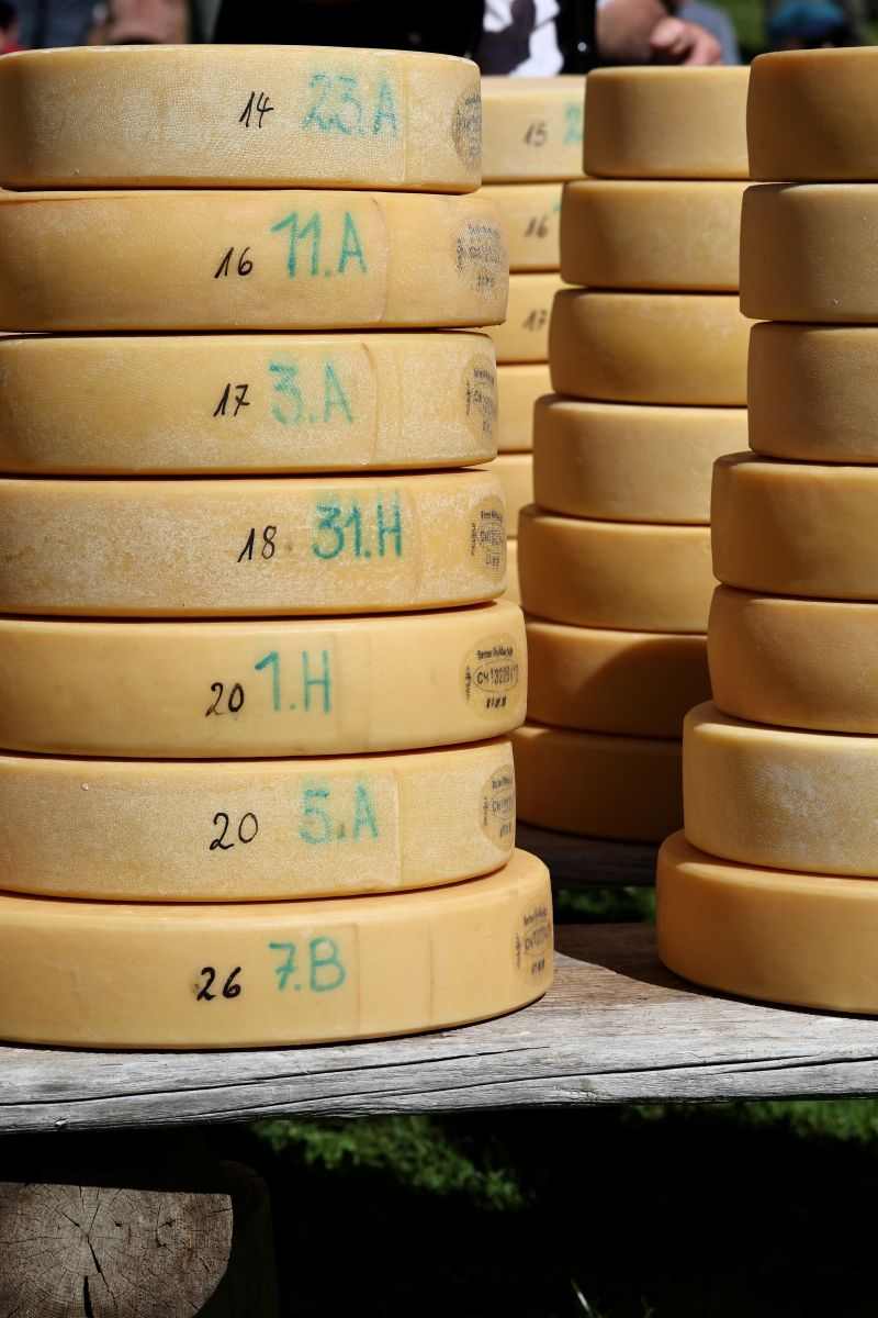 2P1A8933 Justistal Chaesteilet 25