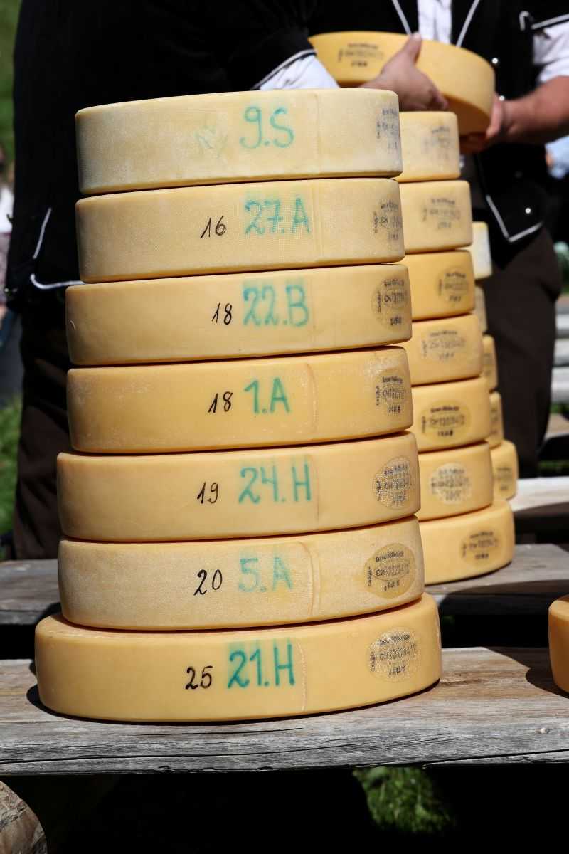 2P1A8935 Justistal Chaesteilet 25