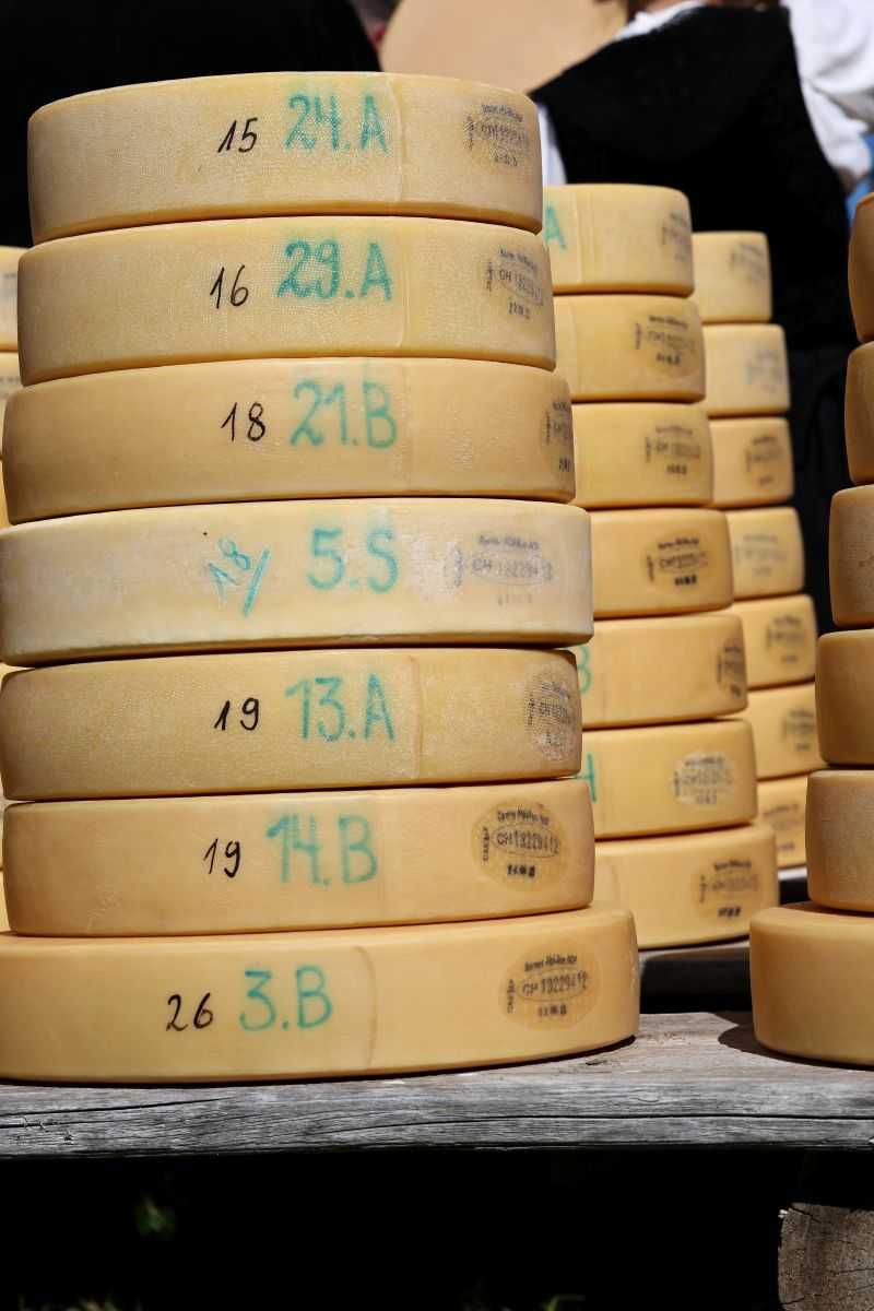 2P1A8937 Justistal Chaesteilet 25