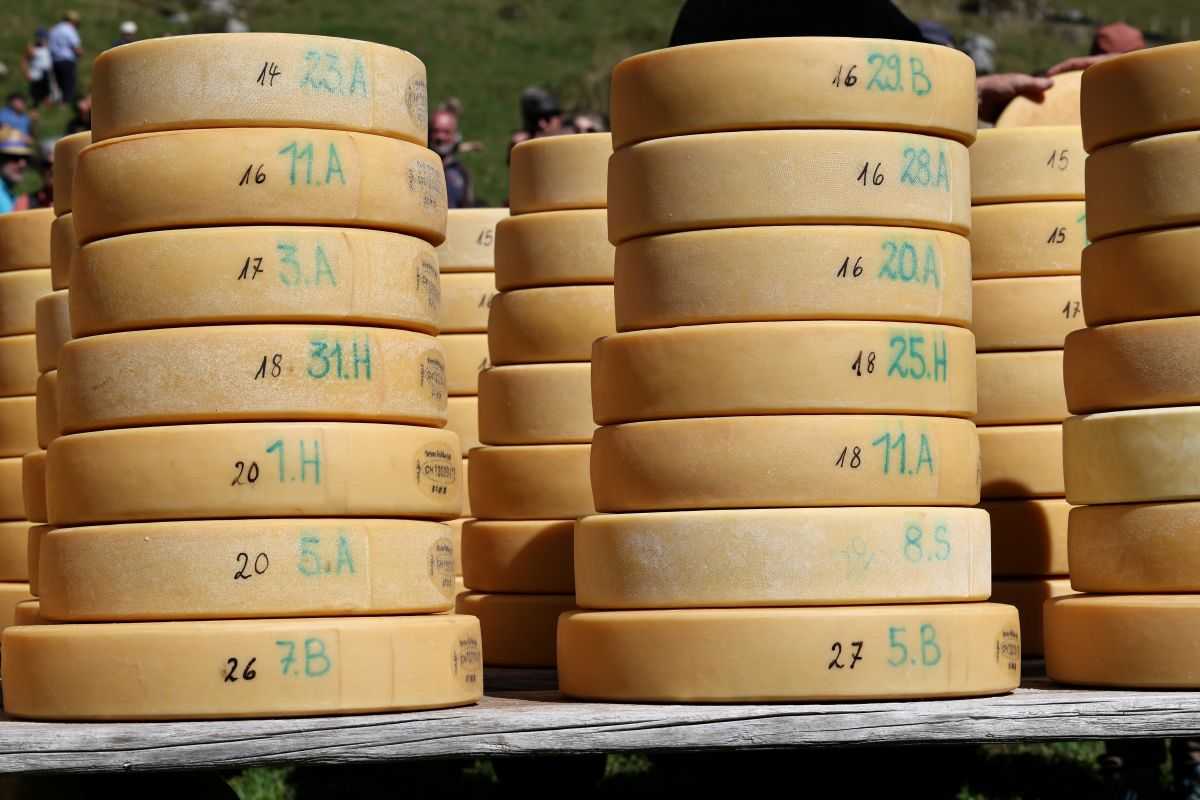 2P1A8939 Justistal Chaesteilet 25