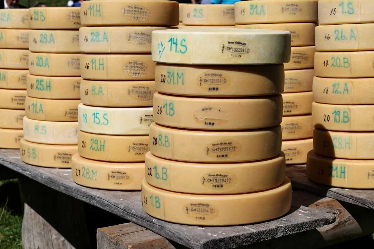 2P1A8944 Justistal Chaesteilet 25