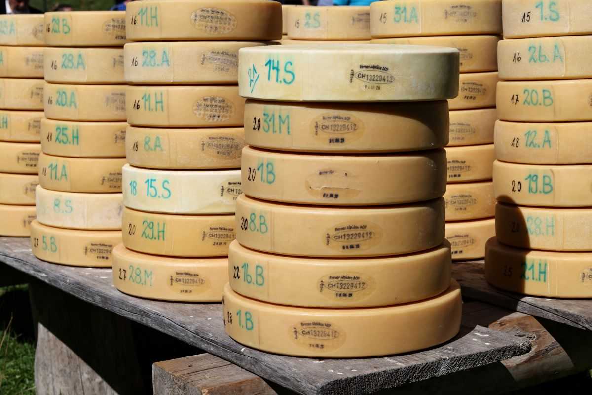 2P1A8945 Justistal Chaesteilet 25