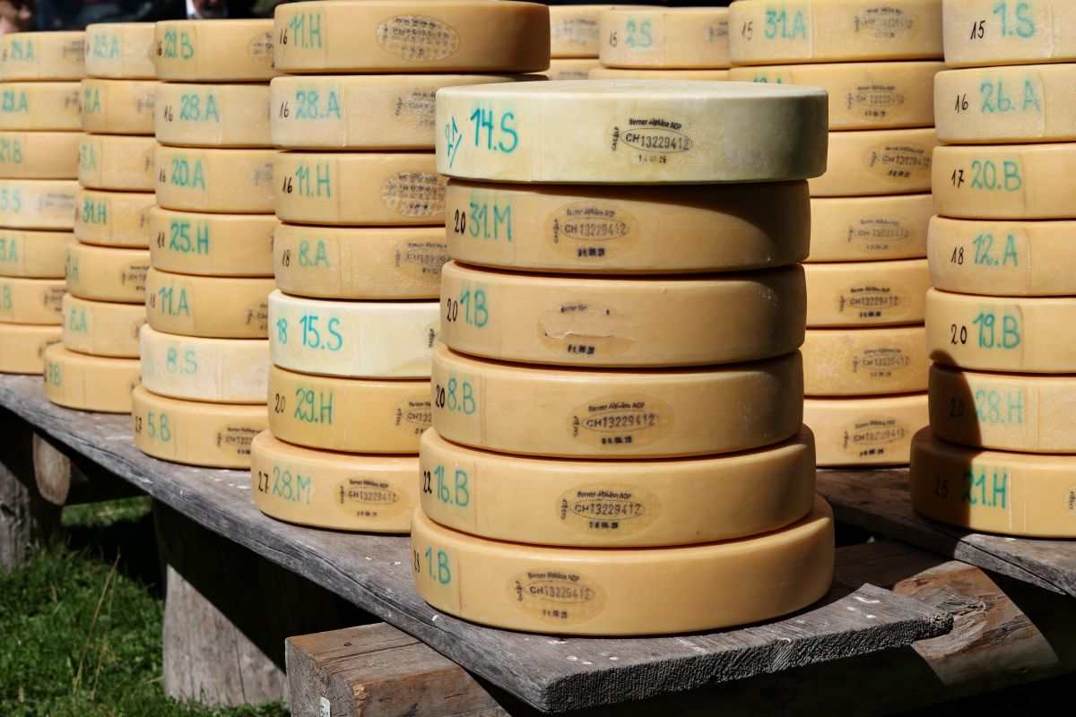 2P1A8947 Justistal Chaesteilet 25