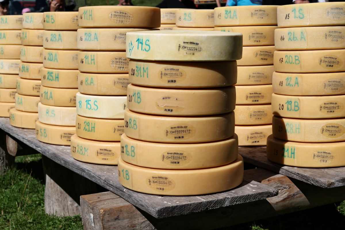 2P1A8948 Justistal Chaesteilet 25