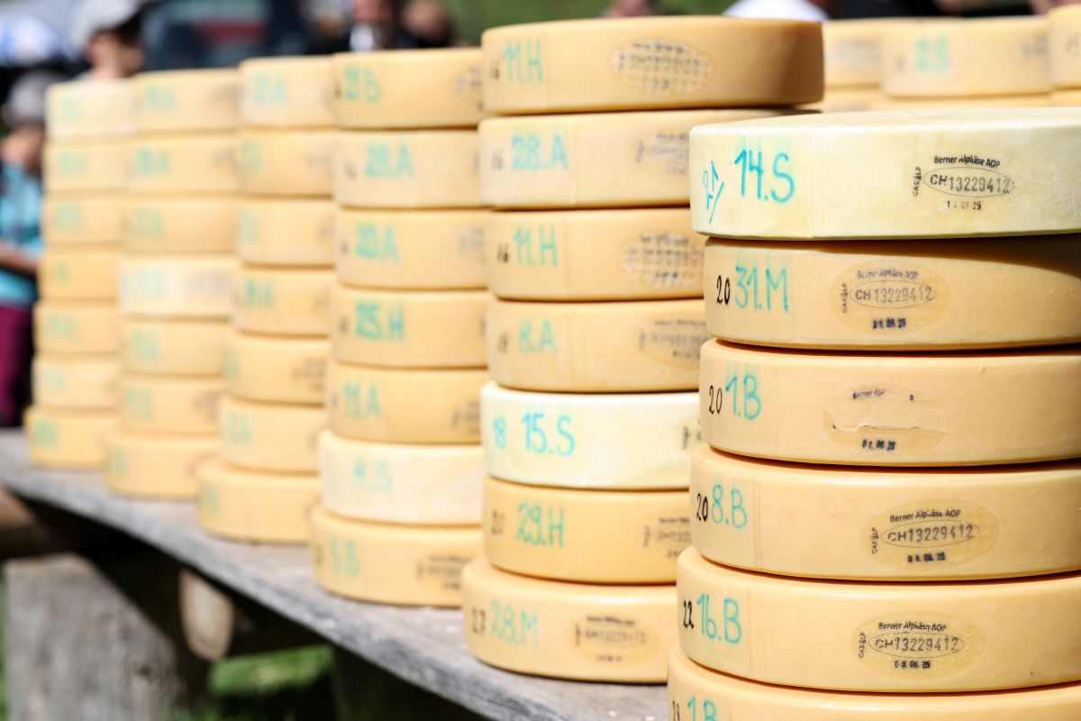 2P1A8955 Justistal Chaesteilet 25