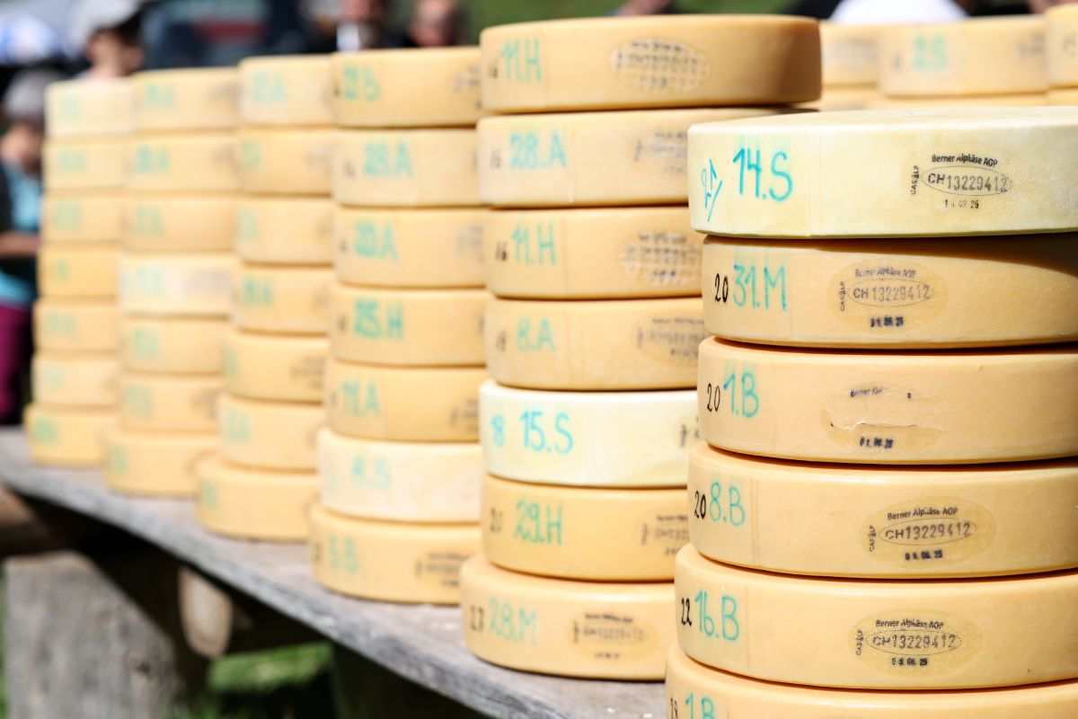 2P1A8956 Justistal Chaesteilet 25