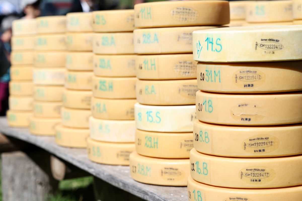 2P1A8957 Justistal Chaesteilet 25