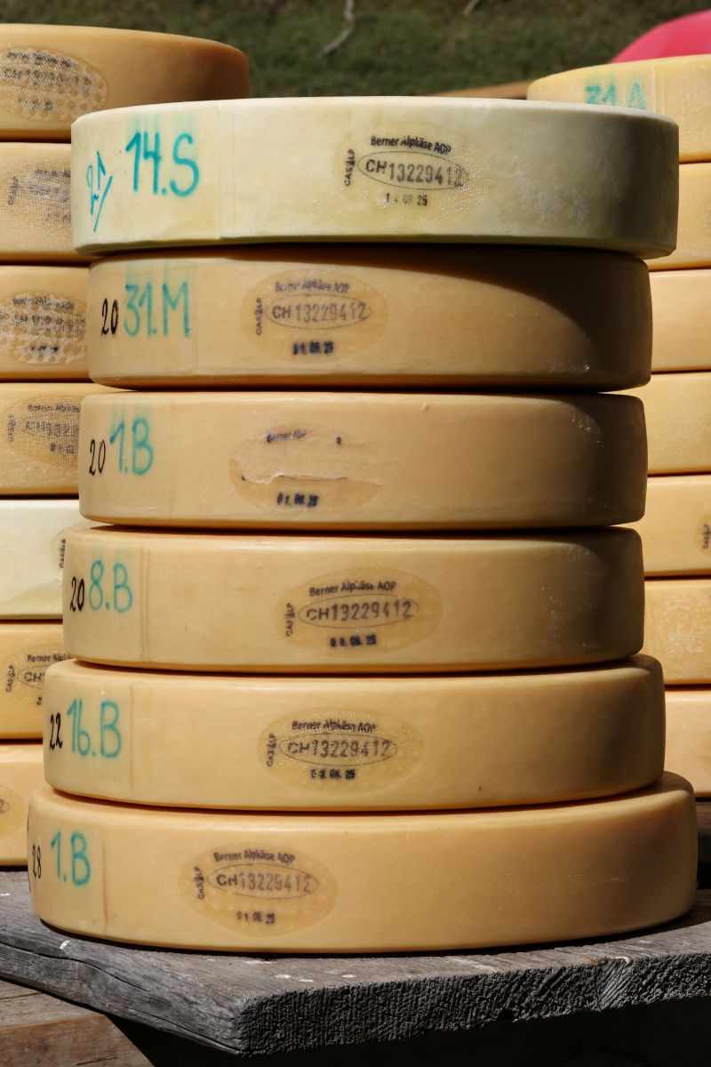 2P1A8965 Justistal Chaesteilet 25