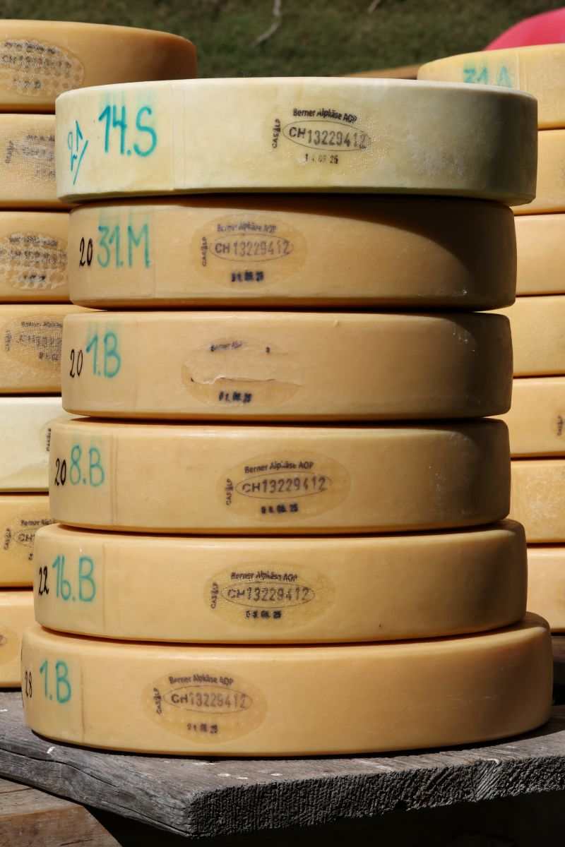 2P1A8966 Justistal Chaesteilet 25