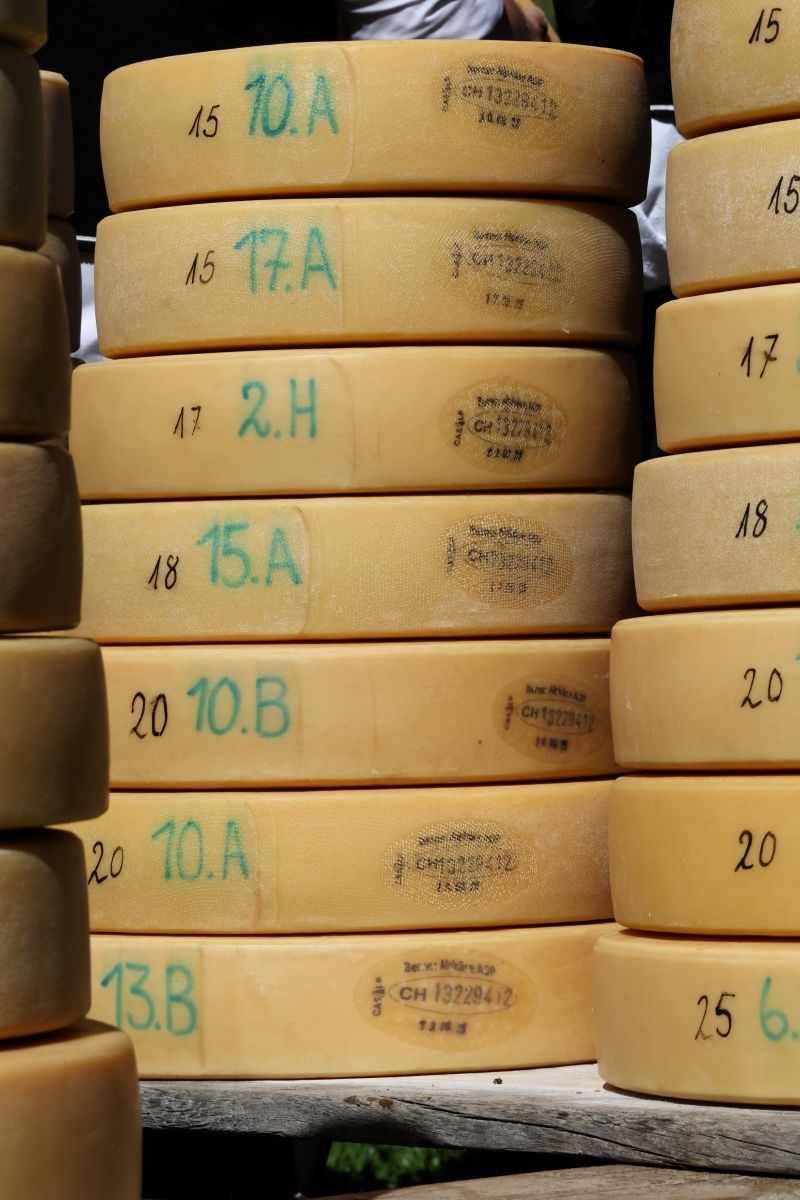 2P1A8968 Justistal Chaesteilet 25