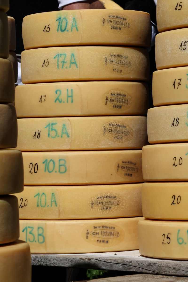 2P1A8969 Justistal Chaesteilet 25