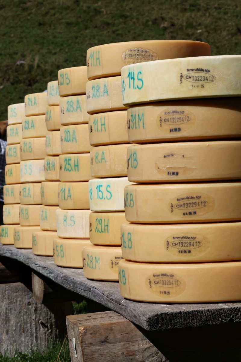 2P1A8973 Justistal Chaesteilet 25