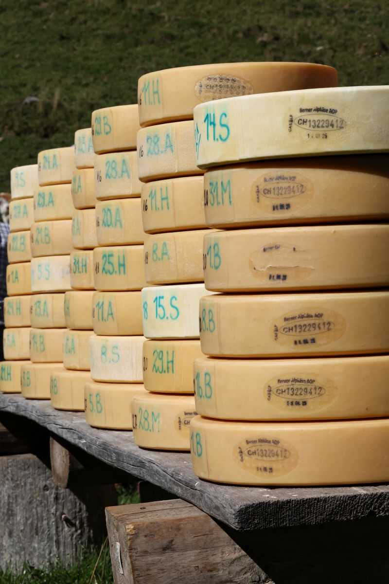 2P1A8975 Justistal Chaesteilet 25