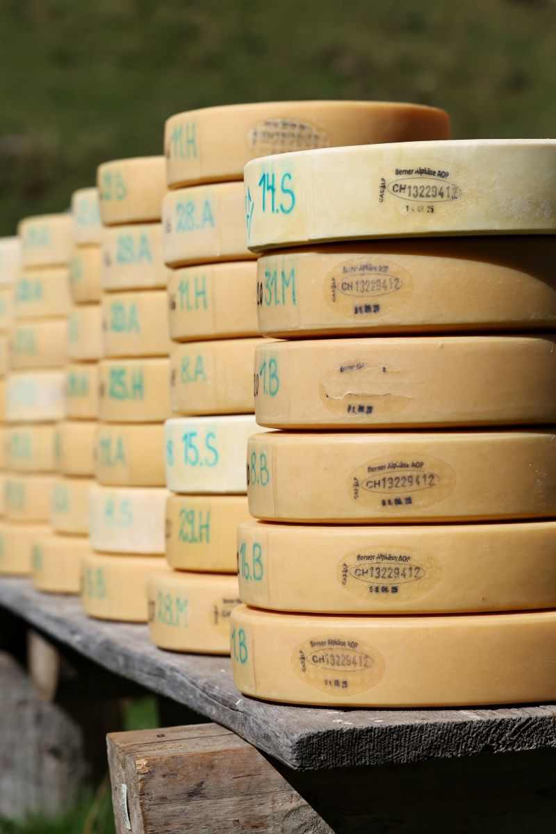 2P1A8977 Justistal Chaesteilet 25