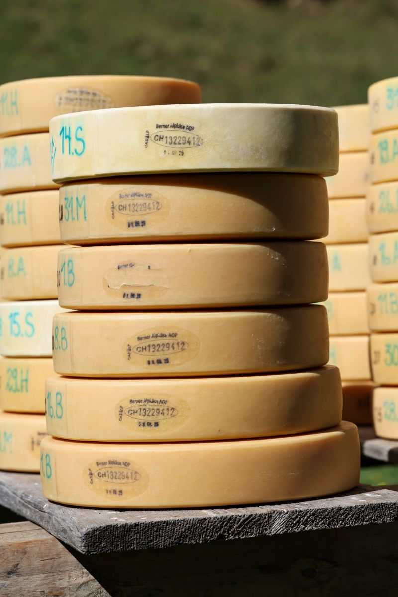 2P1A8978 Justistal Chaesteilet 25