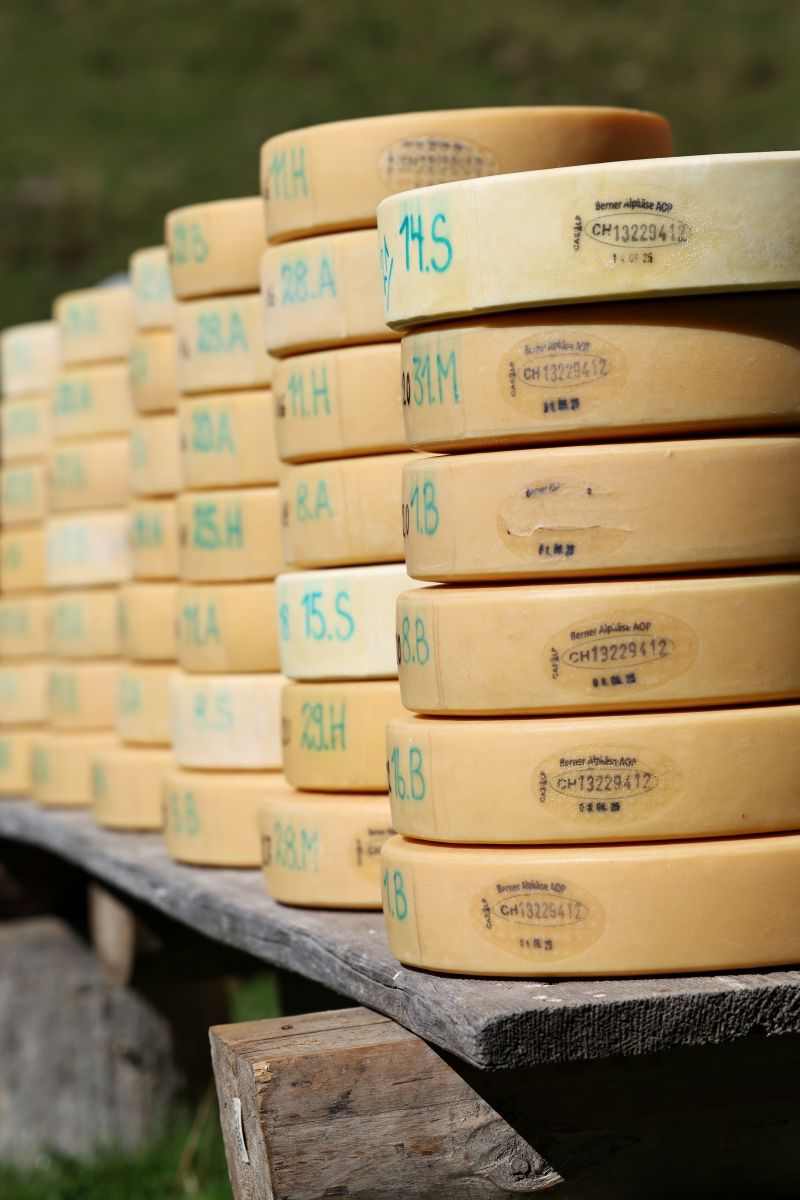 2P1A8979 Justistal Chaesteilet 25