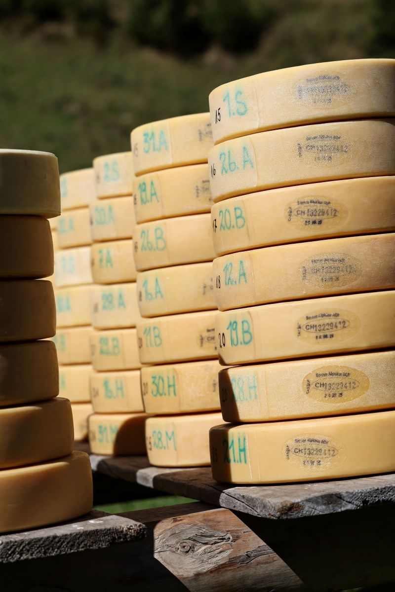 2P1A8987 Justistal Chaesteilet 25