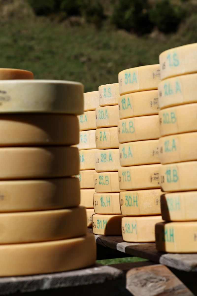 2P1A8992 Justistal Chaesteilet 25