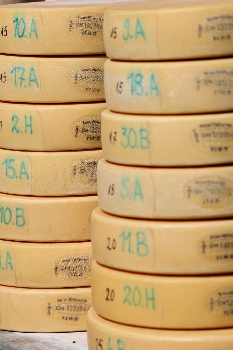 2P1A8994 Justistal Chaesteilet 25