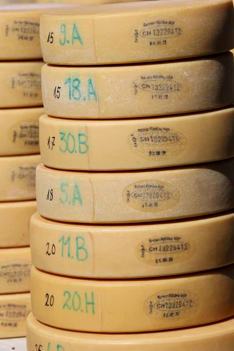 2P1A8995 Justistal Chaesteilet 25