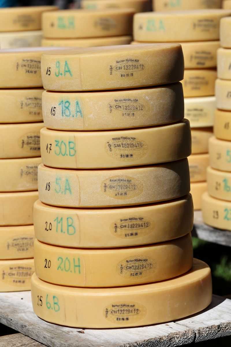 2P1A8997 Justistal Chaesteilet 25