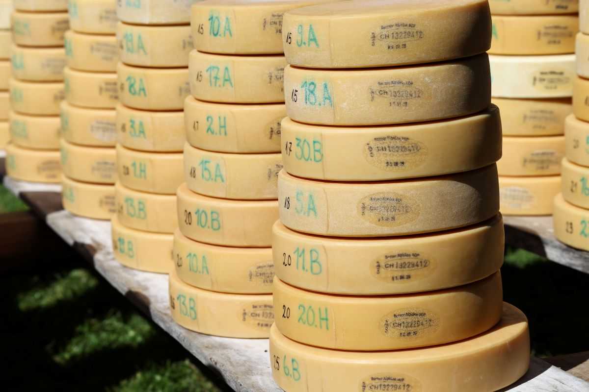 2P1A8999 Justistal Chaesteilet 25