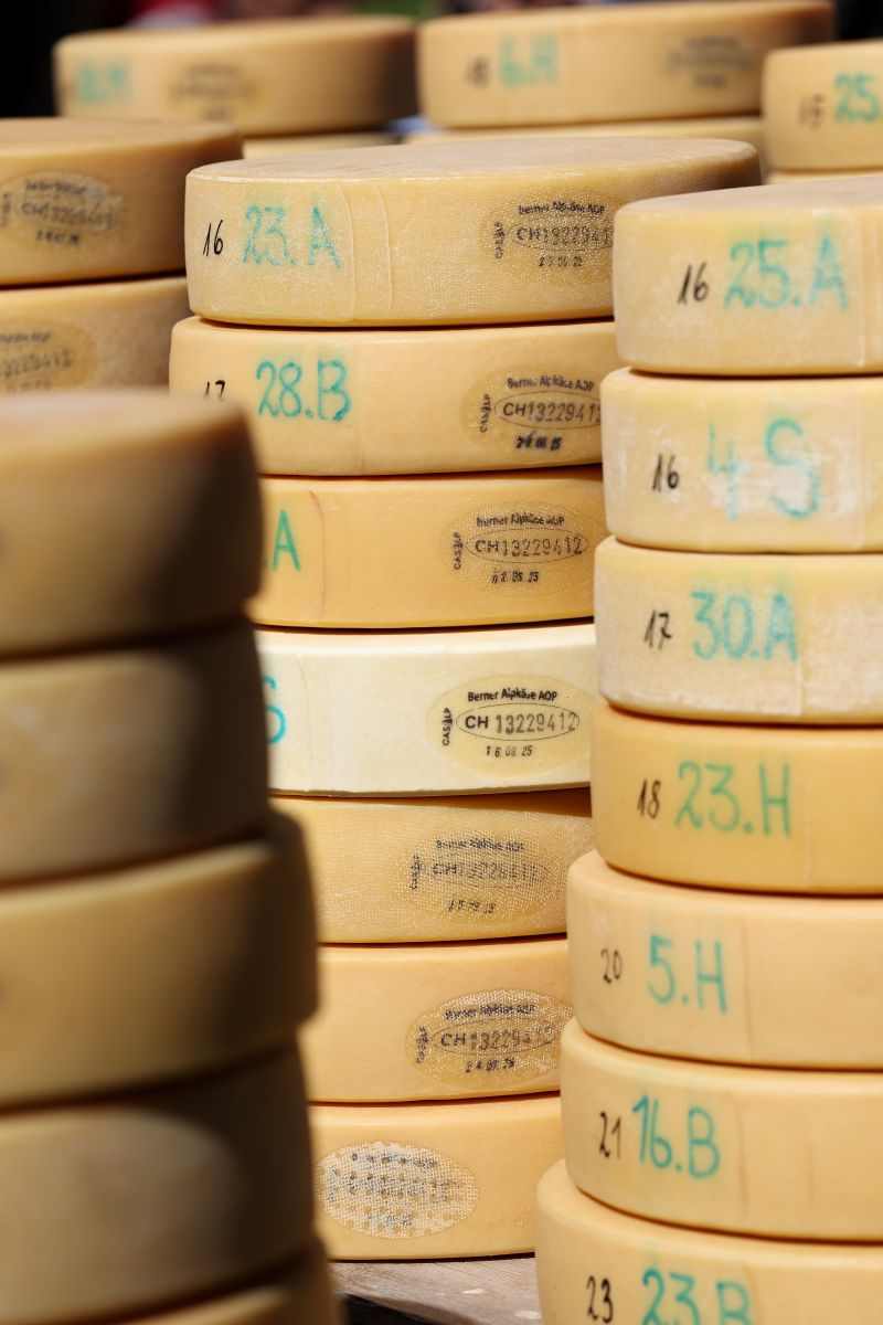 2P1A9004 Justistal Chaesteilet 25