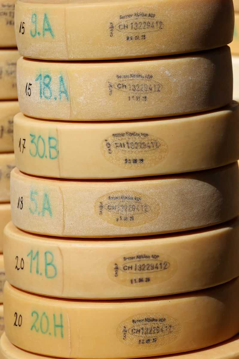 2P1A9005 Justistal Chaesteilet 25