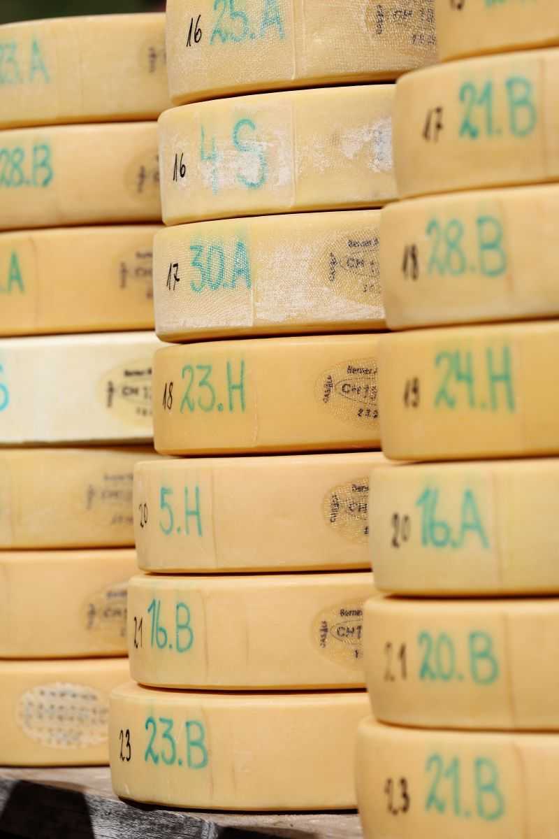 2P1A9018 Justistal Chaesteilet 25