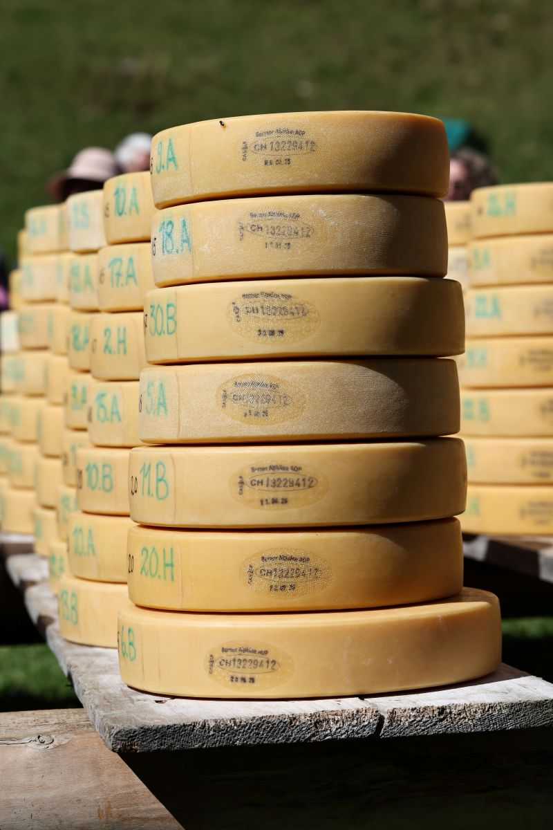 2P1A9024 Justistal Chaesteilet 25