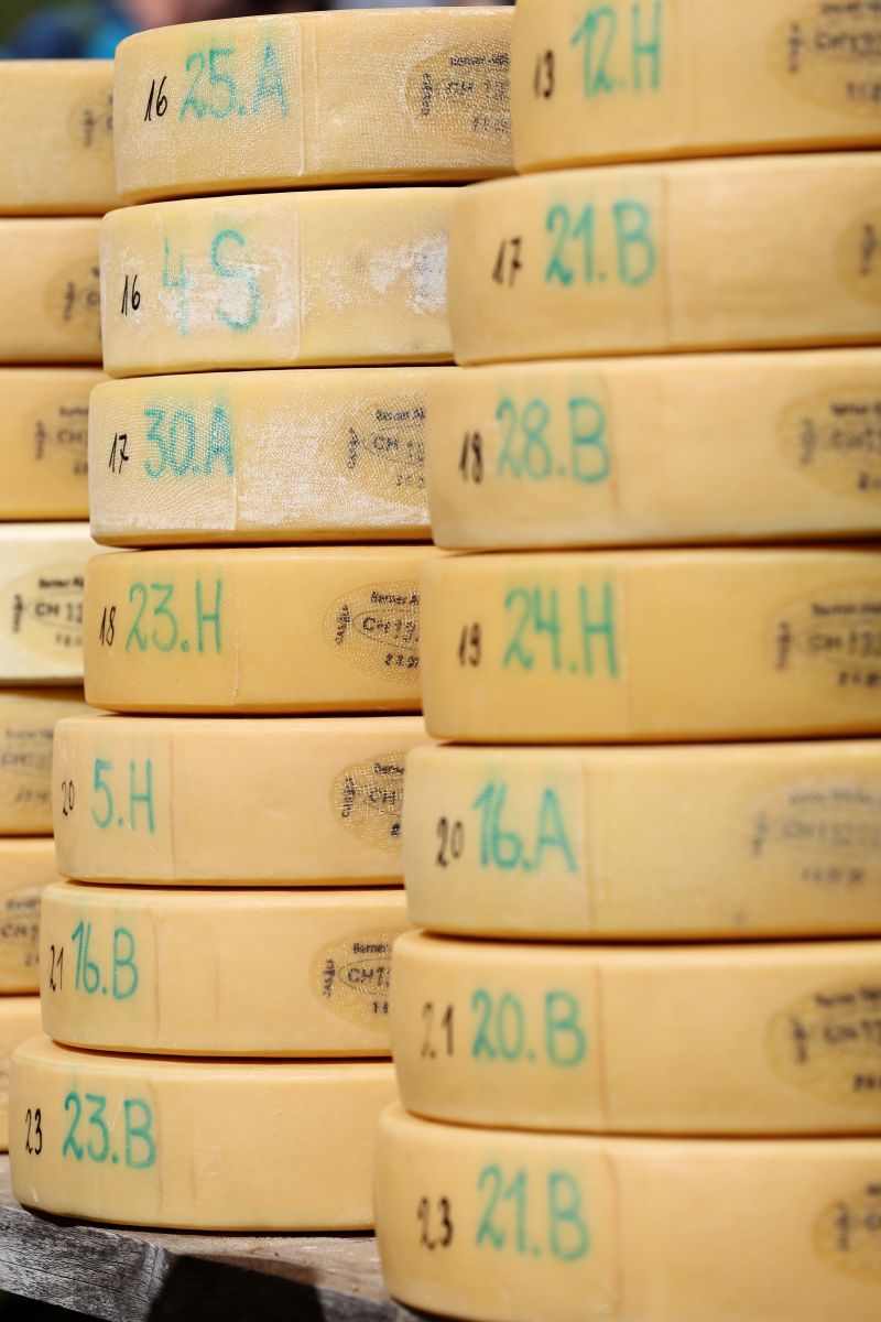 2P1A9029 Justistal Chaesteilet 25