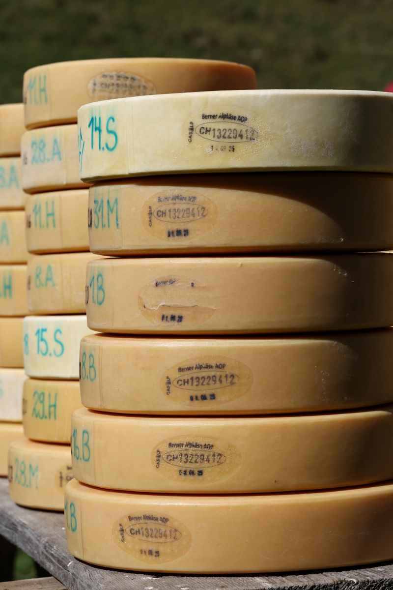 2P1A9045 Justistal Chaesteilet 25