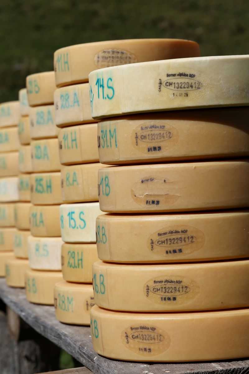 2P1A9052 Justistal Chaesteilet 25