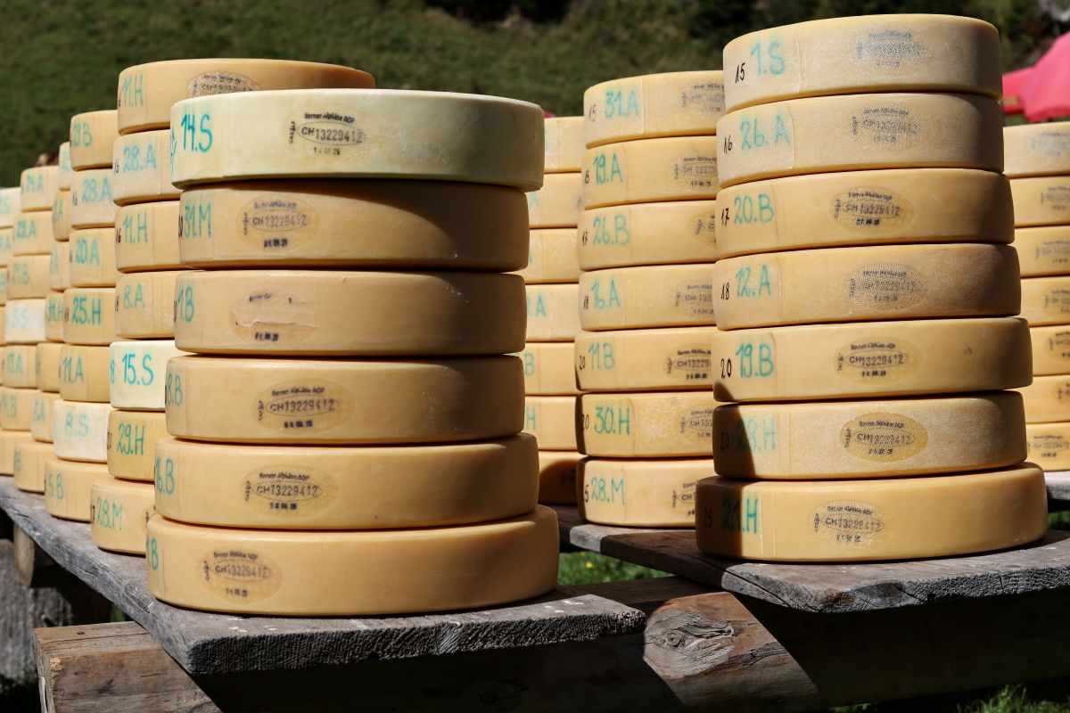 2P1A9056 Justistal Chaesteilet 25