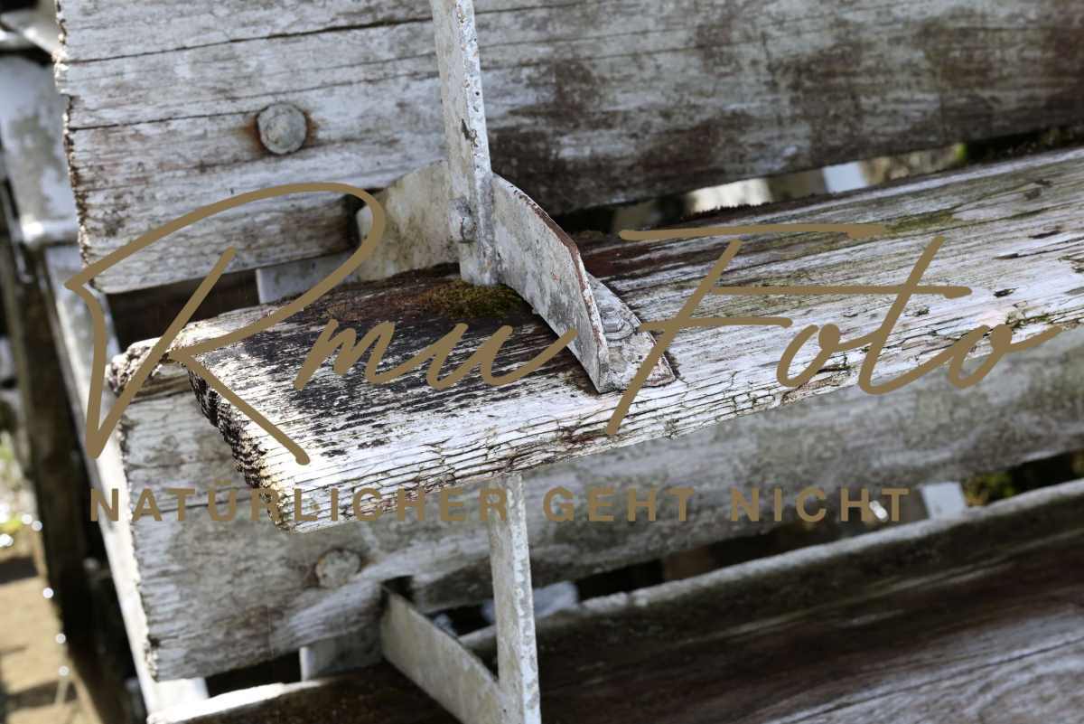 2P1A9682 Mühlrad Wasserrad zollb 2025