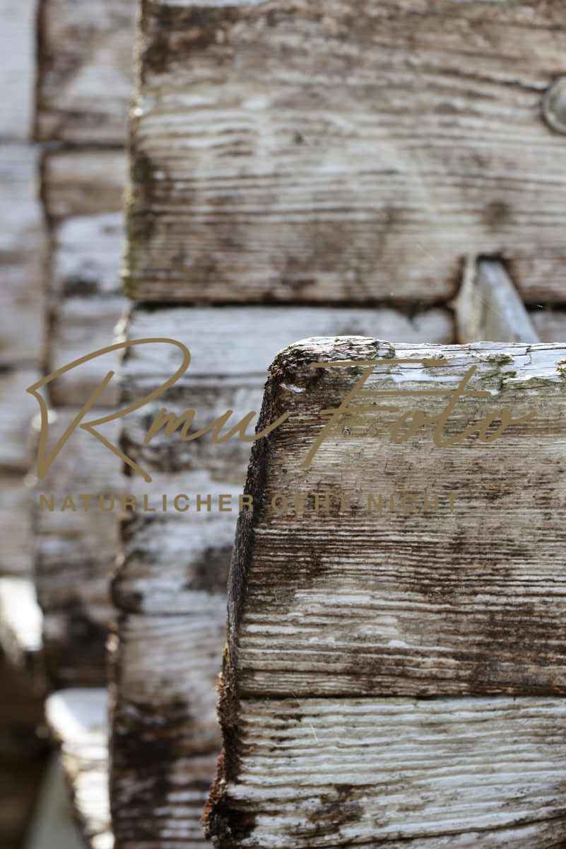 2P1A9689 Mühlrad Wasserrad zollb 2025