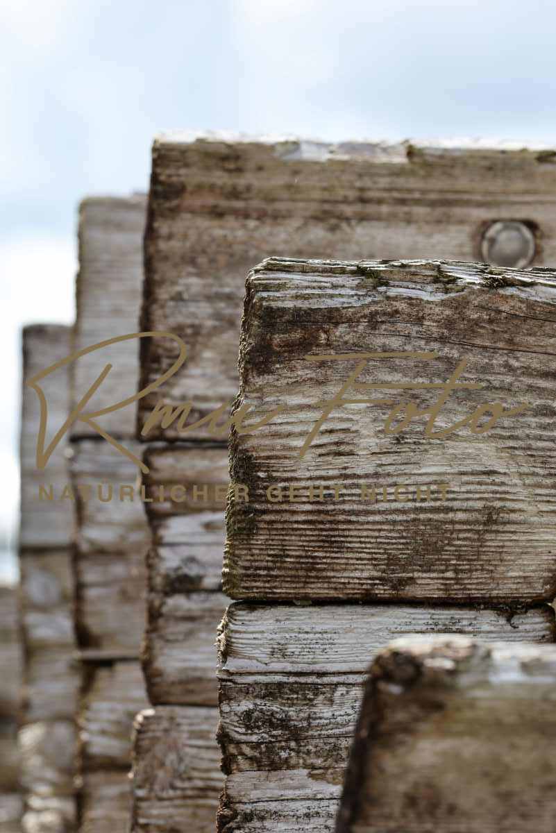 2P1A9692 Mühlrad Wasserrad zollb 2025