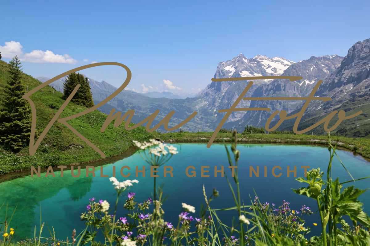 2025.06.20 Aussicht Kl. Scheidegg zur Gr. Scheidegg