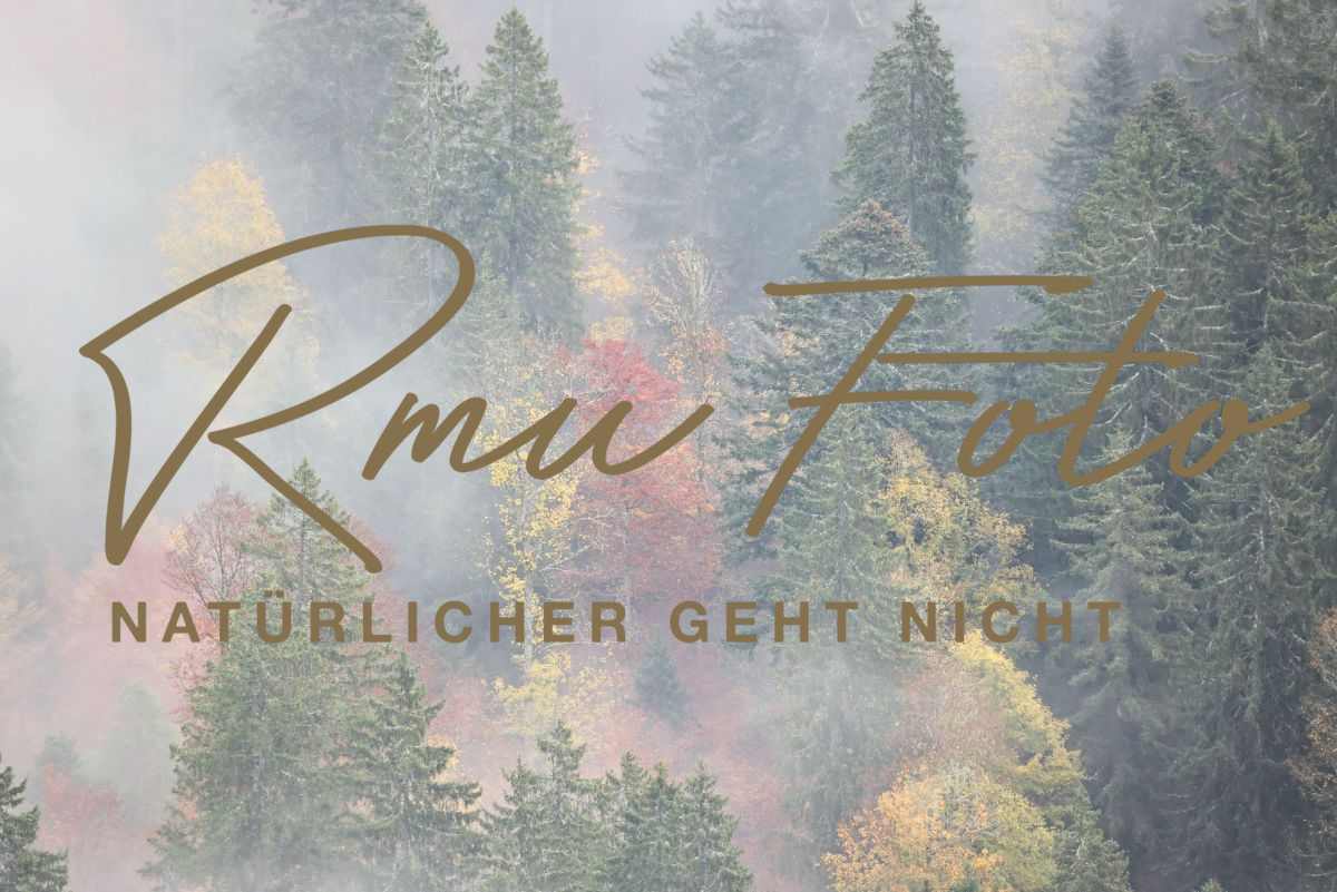 2025.10.19 Nebel Creux du Van