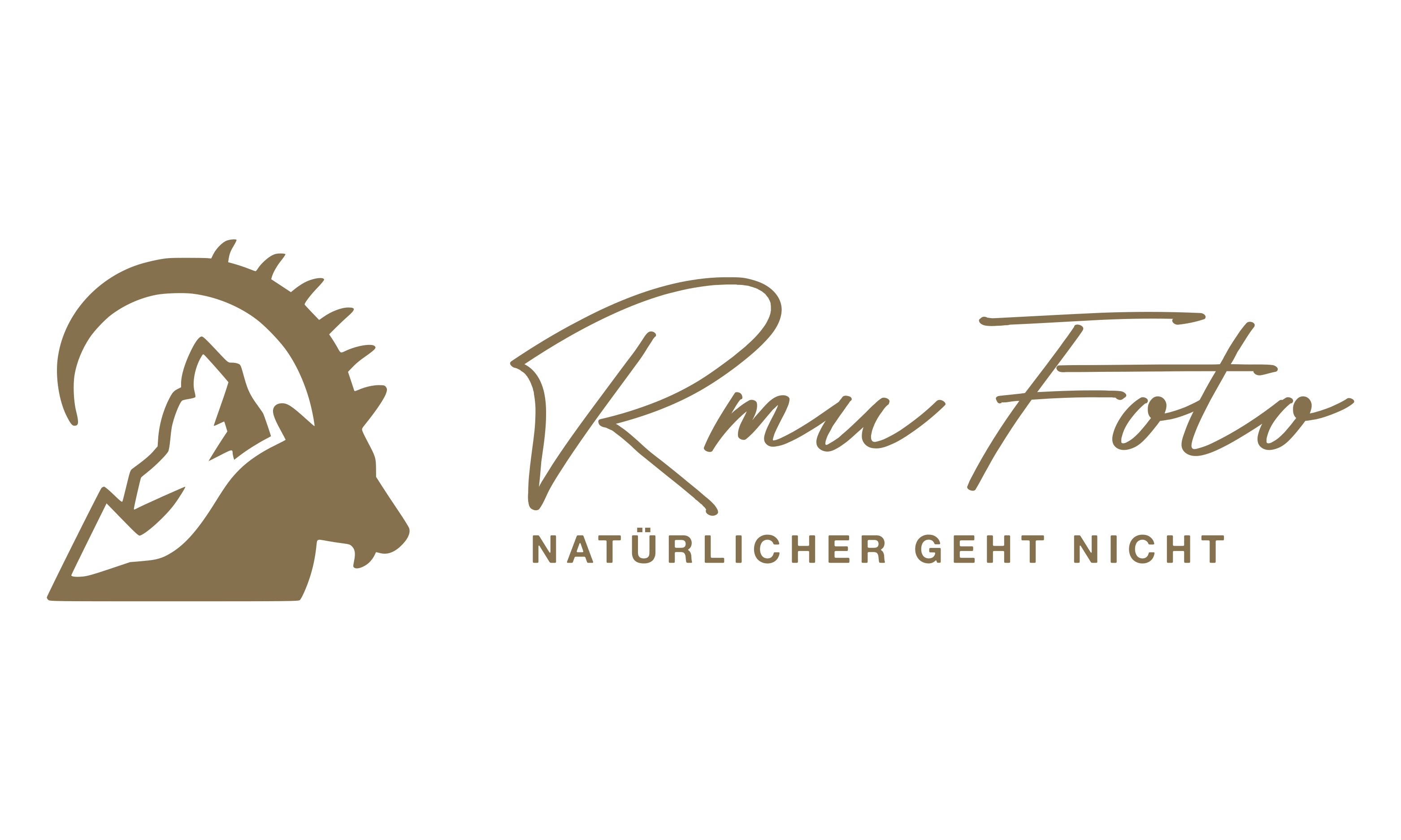 RMU Foto Logo